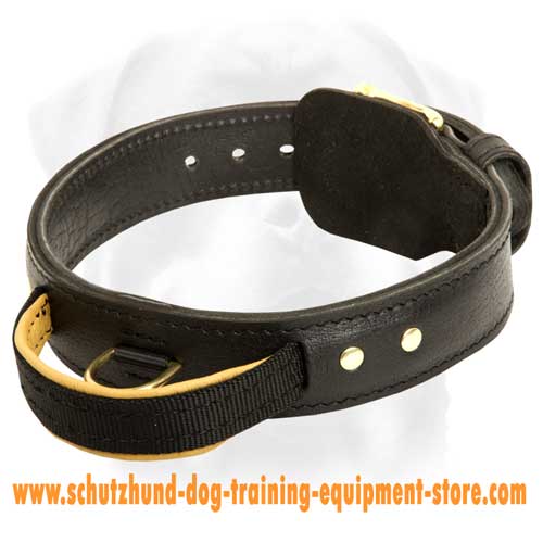 Great Leather Dog Collar