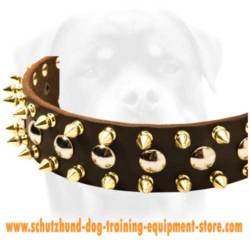 Unique Leather Dog Collar