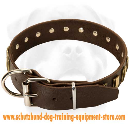 Leather Dog Collar With Nickel Plated Buckle