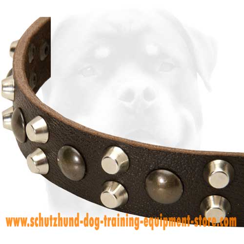 Leather Dog Collar Studs And Halfcones