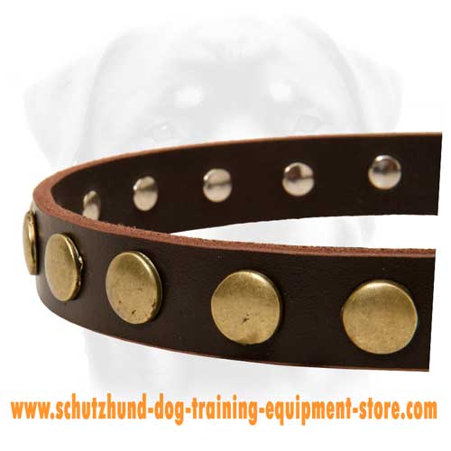 Perfect Leather Dog Collar