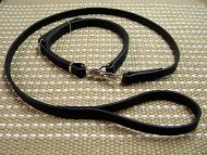 Schutzhund Training dog leash and collar (combo)