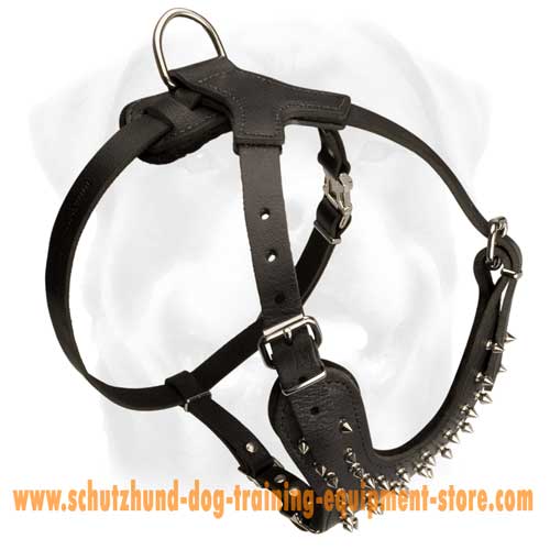 Unordinary Leather Dog Harness