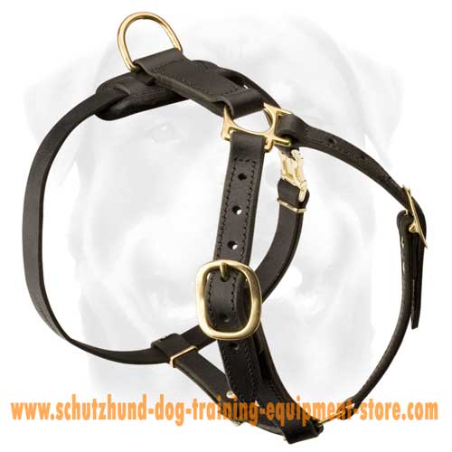 Leather Dog Harness For Everyday Walking