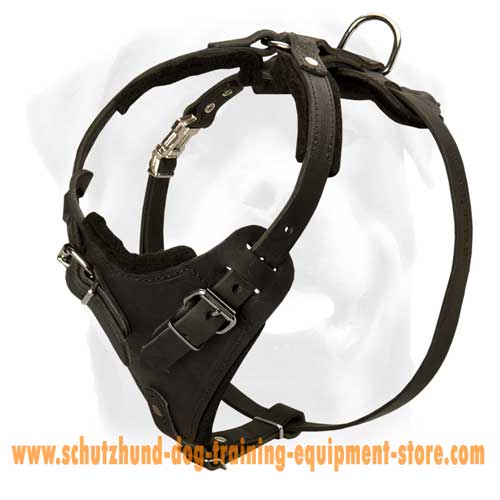 Great Leather Dog Harness