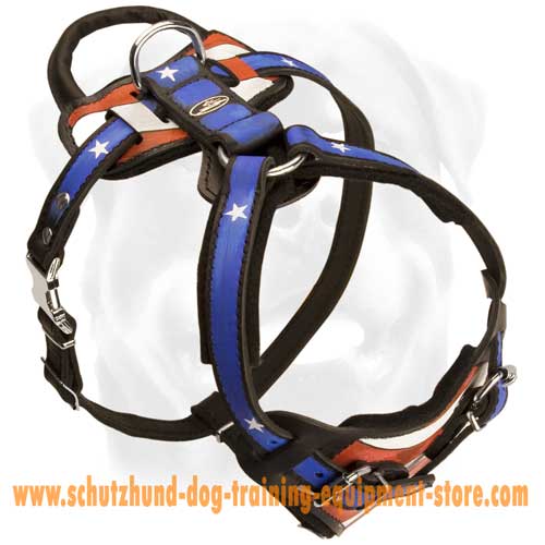 Leather Dog Harness For Walks In Style