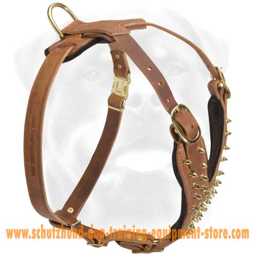 Gorgeous Leather Dog Harness