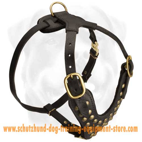 Leather Dog Harness For Agitation Work