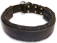 Schutzhund Padded Leather dog collar with thick felt