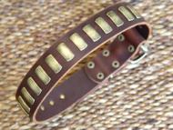 Gorgeous Wide Leather Dog Collar With Plates for All Breeds