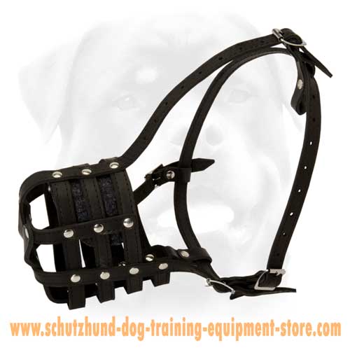 Great Stylish Leather Basket Dog Muzzle 