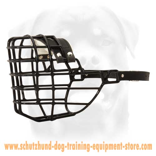 Wire Basket Dog Muzzle Designed For Winter Activities