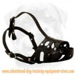 Great Leather Dog Muzzle For Active Dogs