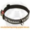 Strong All Weather Nylon Dog Collar