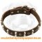Custom Studded Leather Dog Collar for training dogs