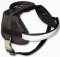 Multifunctional Dog Harness for Training