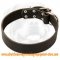 Comfortable Leather Dog Collar