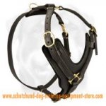 Fair Leather Dog Harness With Y-shaped Plate For Working Dogs