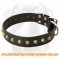 Gorgeous Wide Leather Dog Collar