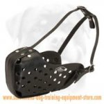 Special Training Leather Dog Muzzle