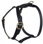 Similar Lupine adjustable dog harness for training dogs