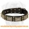 Gorgeous Spiked Leather Dog Collar