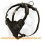 Padded Dog Harness For Working Dogs