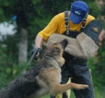 Get now Trial Bite Sleeve like Schweikert 5982 Protection Sleeve