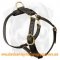 Luxury Leather Dog Harness