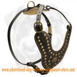 Royal Studded Leather Dog Harness