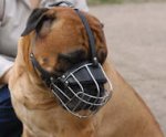 Bullmastiff Big Wire Basket dog muzzle