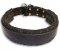 Schutzhund Leather Dog Collar Padded With Thick Felt
