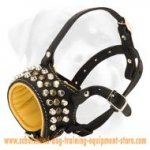 Fine Leather Dog Muzzle With Cones And Studs