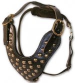 Adjustable Studded 2-Ply Latigo Harness