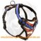 Schutzhund Leather Dog Harness