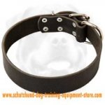 Comfortable Leather Dog Collar