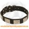 Handcrafted Leather Dog Collar With Vintage Massive Plates