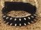 Nylon Dog Collar with 2 Rows Decoration