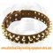 Leather Spiked Studded Dog Collar