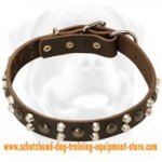 Custom Studded Leather Dog Collar for training dogs