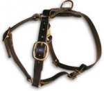 Latigo Leather Roading Harness