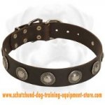 Royal Leather Dog Collar