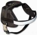 Multifunctional Dog Harness for Training