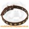 Top Quality Leather Special Dog Collar With Circles