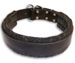 Schutzhund Leather Dog Collar Padded With Thick Felt