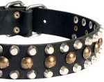 Leather Dog Collars with Studs