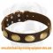 Retro Rulz - Gorgeous Vintage Dog Leather Collar - C103