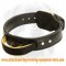 Schutzhund agitation collar 2 ply leather dog collar with handle