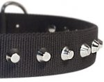 1 Row Studs Dog Collar-1 1/4" for training dogs