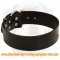 All Weather Collar for Working Dogs